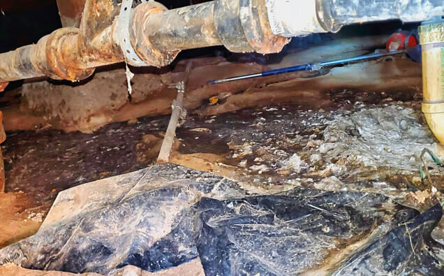 https://plumbertapping.com.au/uploads/2025/06/plumbing-73706.jpg